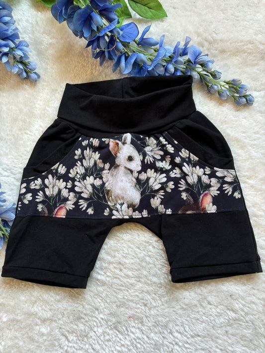 Short évolutif 1-3 ans